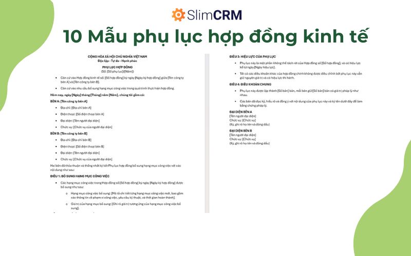 Mẫu phụ lục hợp đồng kinh tế