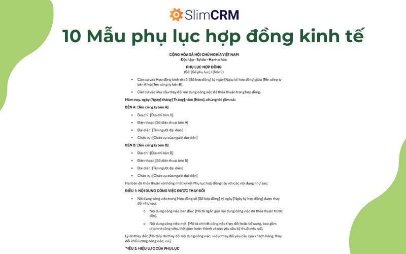 Mẫu phụ lục hợp đồng kinh tế