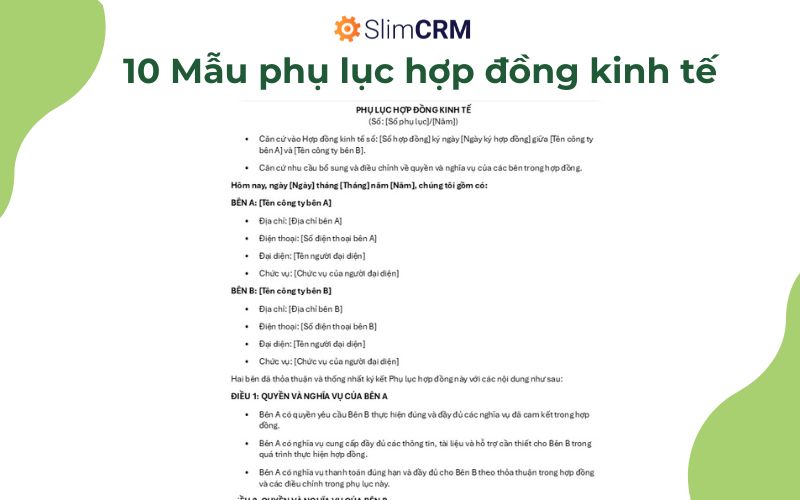 Mẫu phụ lục hợp đồng kinh tế