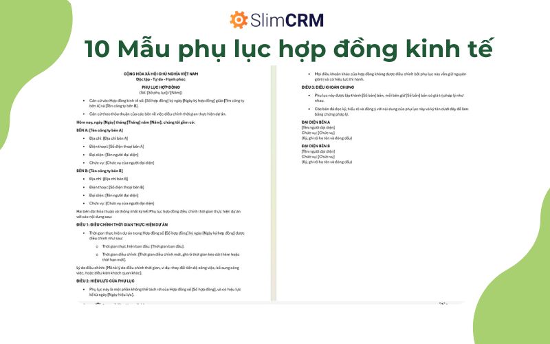 Mẫu phụ lục hợp đồng kinh tế