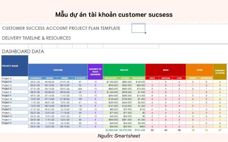 Mẫu dự án tài khoản Customer Success