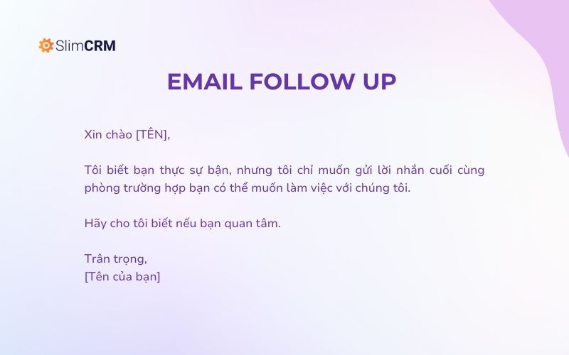 Mẫu email follow up