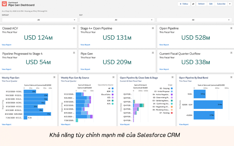 Khả năng tùy chỉnh linh hoạt trong phần mềm Salesforce CRM