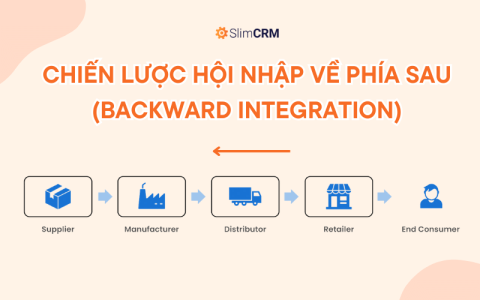 Chiến lược hội nhập về phía sau