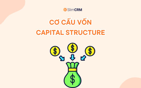 Cơ cấu vốn - Capital Structure