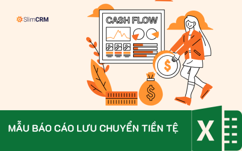 Mẫu báo cáo lưu chuyển tiền tệ