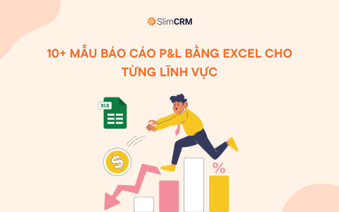 Mẫu Báo Cáo P&L Mẫu Báo Cáo P&L
