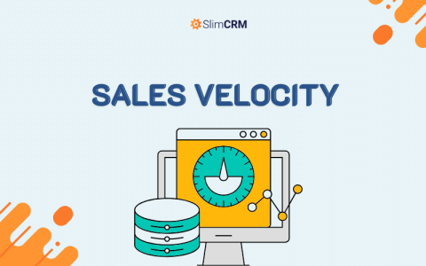 Sales Velocity