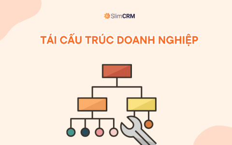 Tái cấu trúc doanh nghiệp