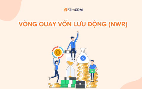 Vòng quay vốn lưu động