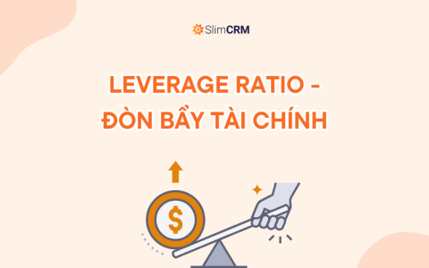 Leverage ratio - đòn bẩy tài chính