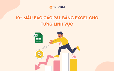 Mẫu Báo Cáo P&L