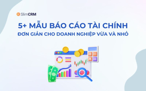 Mẫu báo cáo tài chính cho doanh nghiệp vừa và nhỏ