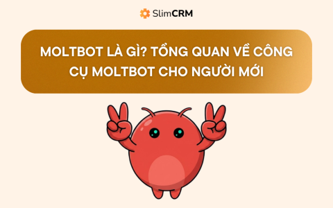 Moltbot là gì? Tổng quan về công cụ Moltbot cho người mới