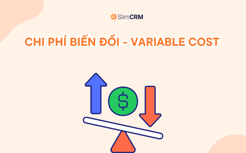 Variable Cost - chi phí biến đổi