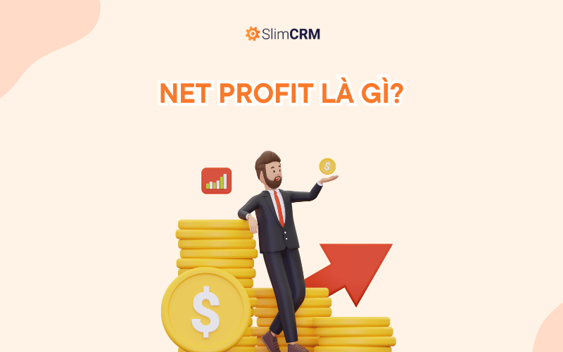 Net Profit - Lợi nhuận ròng