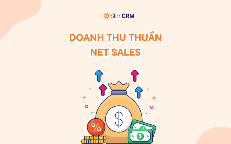 Net Sales - Doanh thu thuần